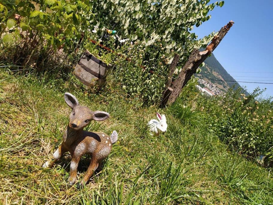 Cozy Home In Ardino エクステリア 写真