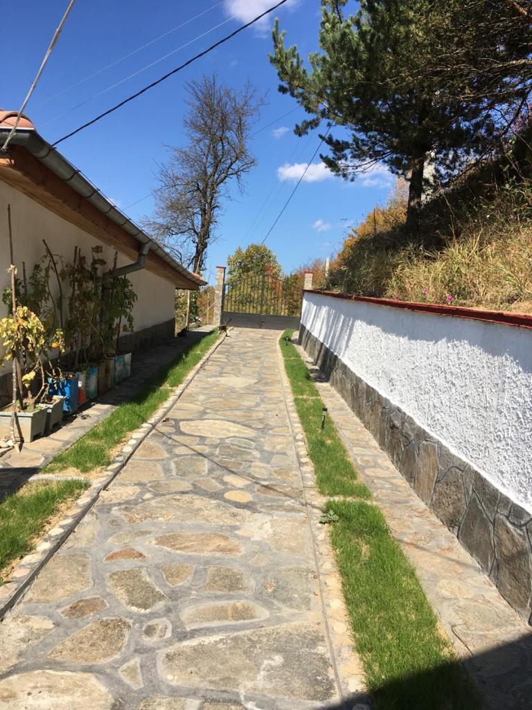 Cozy Home In Ardino エクステリア 写真